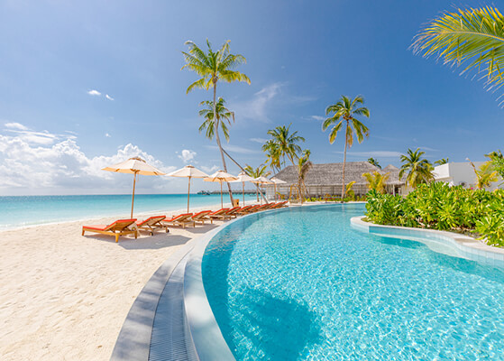 Chairs and trees on beach by pool