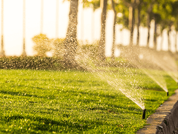 outdoor irrigation system that is watering grass